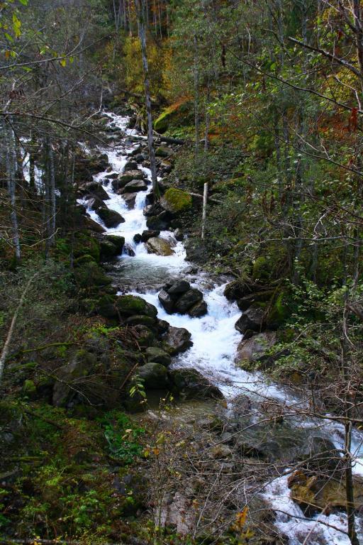 Отель Vila Sucu Пояна-Мэрулуй Экстерьер фото