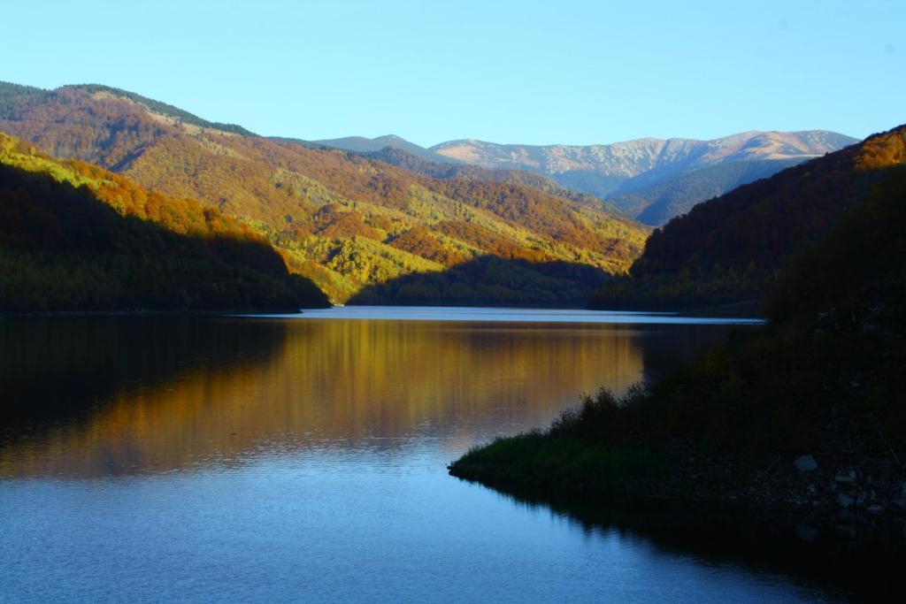 Отель Vila Sucu Пояна-Мэрулуй Экстерьер фото
